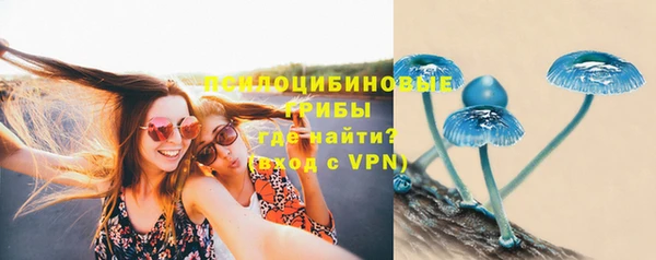 PSILOCYBIN Заволжье