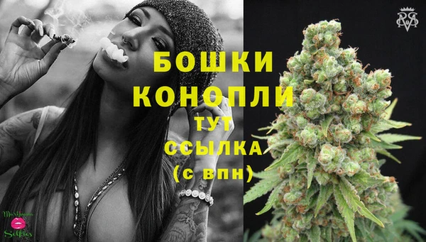 хмурый Заводоуковск