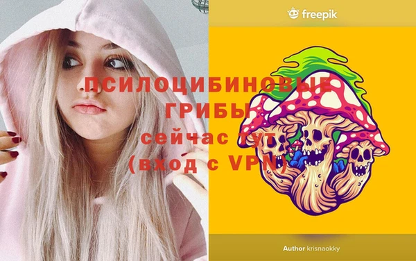 PSILOCYBIN Заволжье