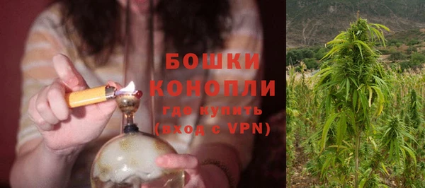 PSILOCYBIN Заволжье