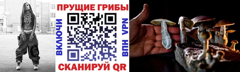 Галлюциногенные грибы ЛСД Красноармейск